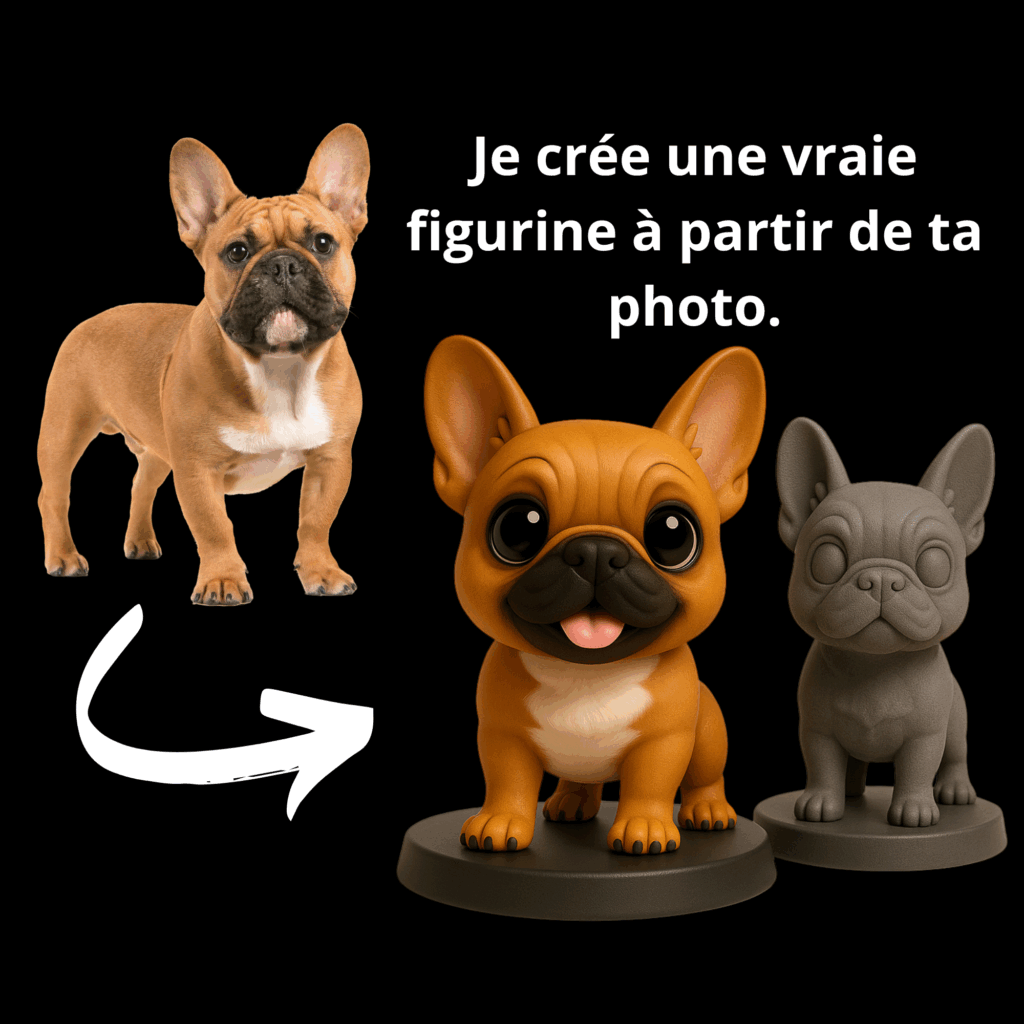 Figurines 3D personnalisable